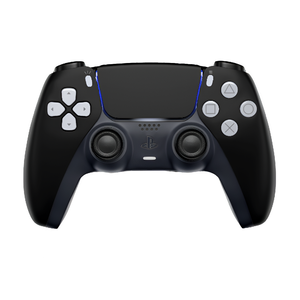 PS5 Custom Controller